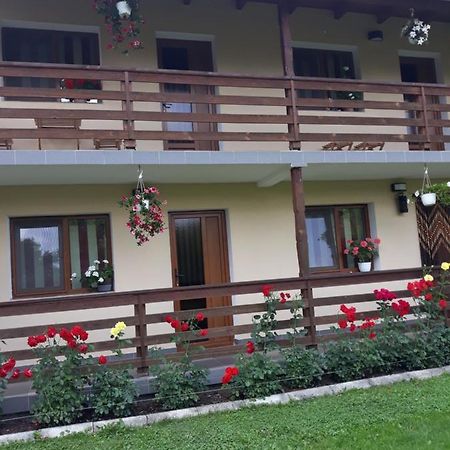 Casa Monika Ciocarliei Hotel Sovata Exterior photo