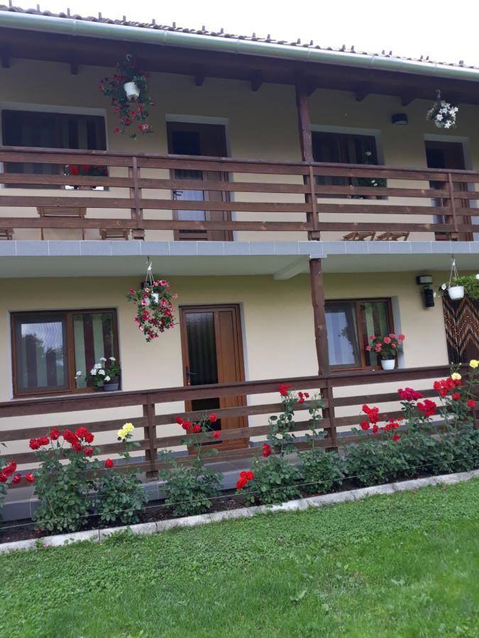 Casa Monika Ciocarliei Hotel Sovata Exterior photo