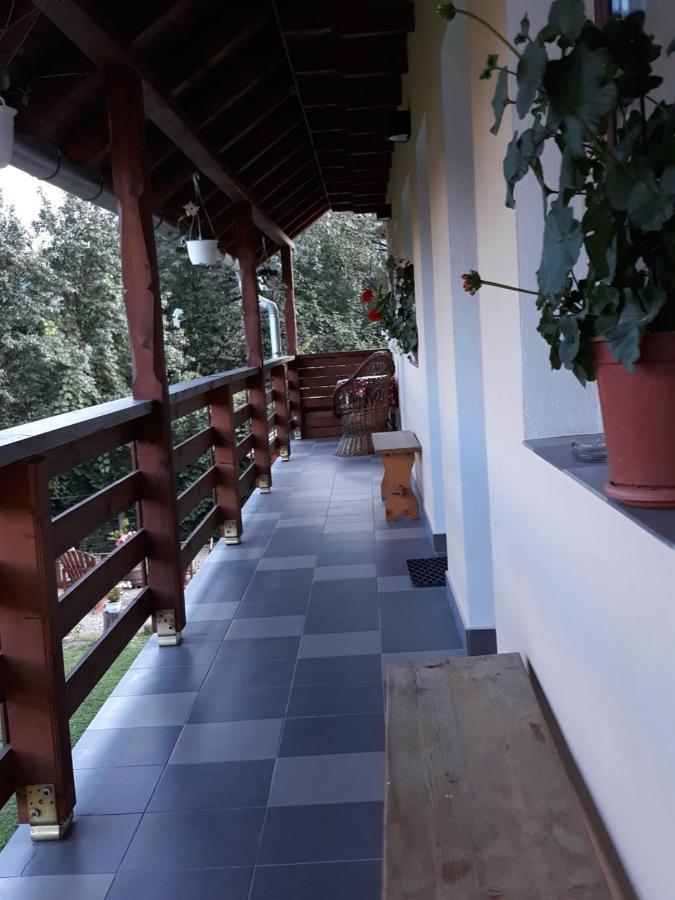 Casa Monika Ciocarliei Hotel Sovata Exterior photo